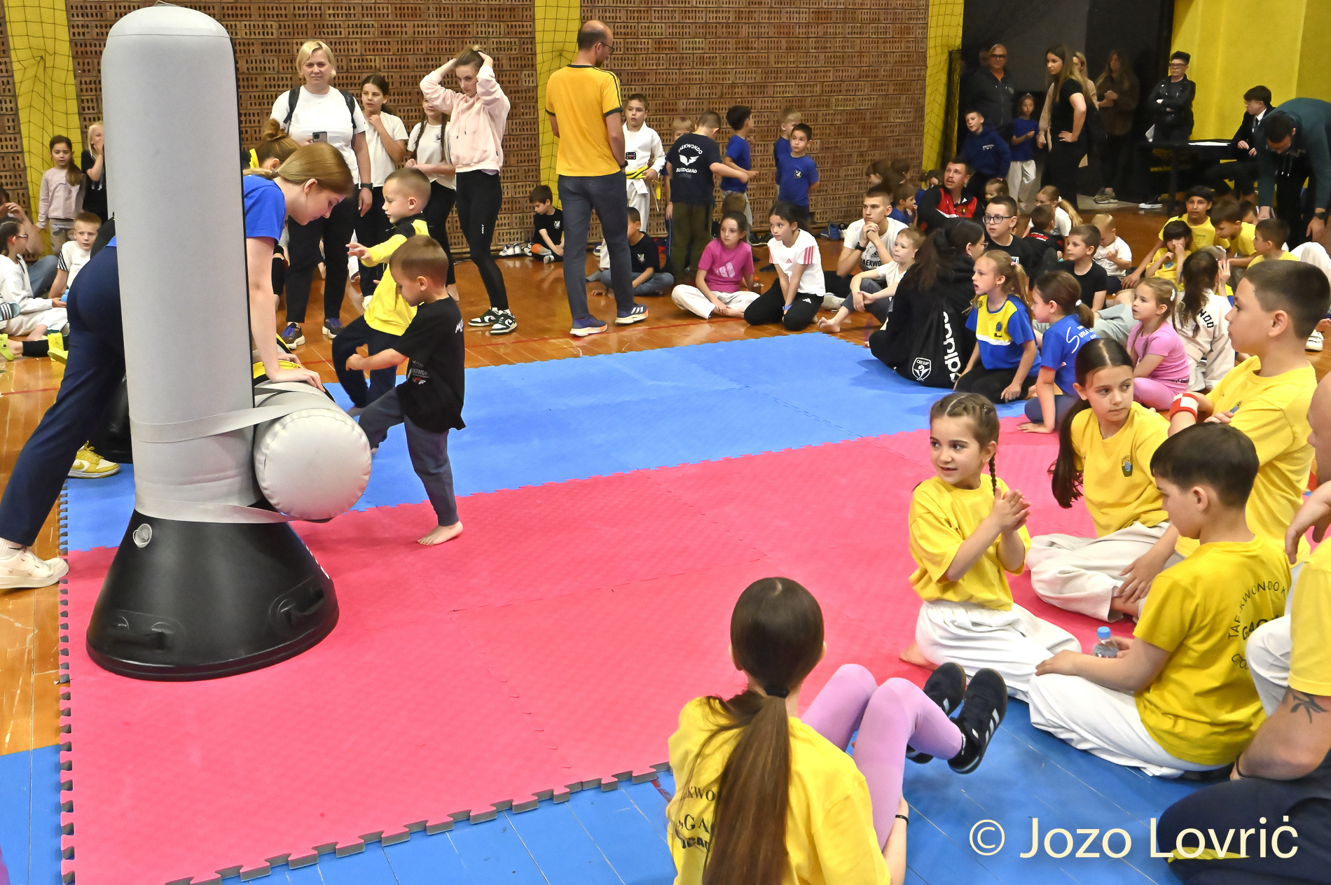 Taekwondo natjecanje Susedgrad Sokol
